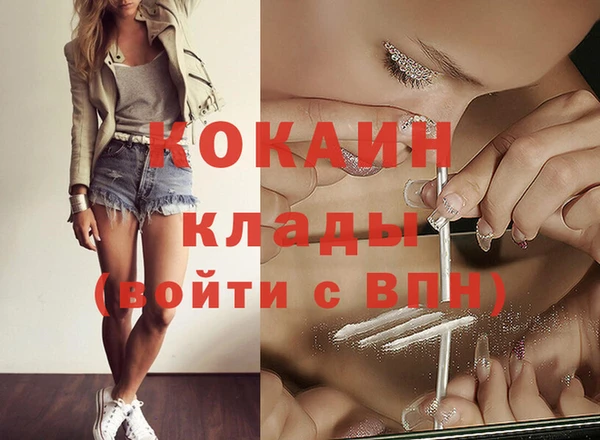 винт Новозыбков