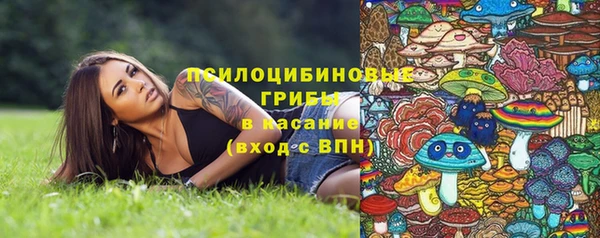 винт Новозыбков