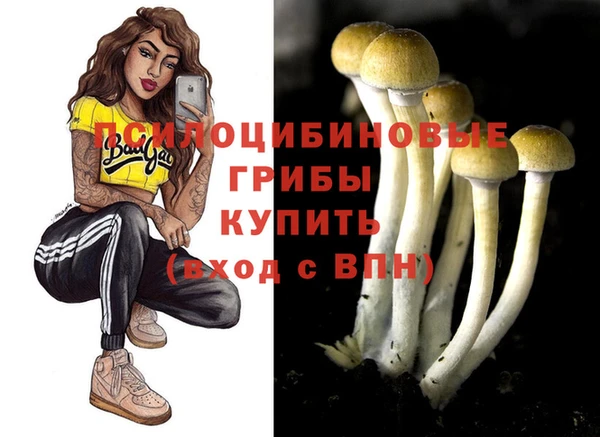 винт Новозыбков