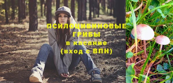 метадон Новодвинск