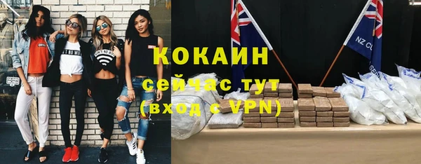 винт Новозыбков
