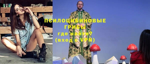 метадон Новодвинск