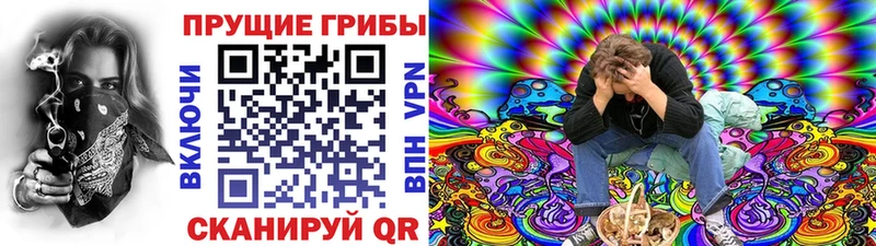 Псилоцибиновые грибы прущие грибы  Купить  Власиха 